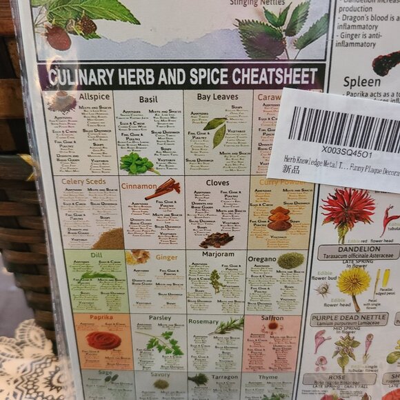 Wholistic Nature Metal Tin First Aid Cooking Remedies Education Info Resource - Picture 4 of 6